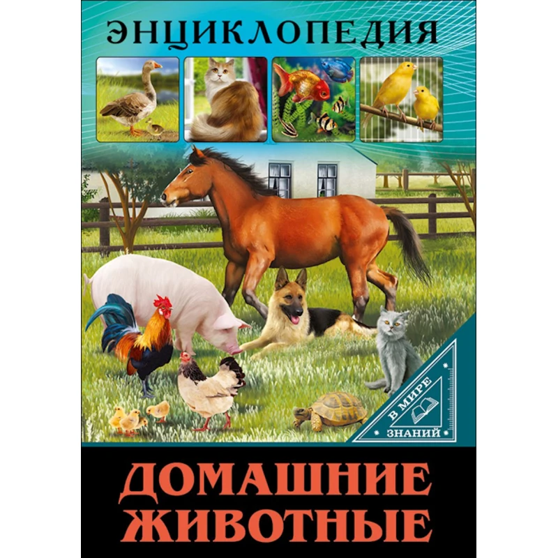 Книга В мире знаний.Домашние животные-Балуева О. Книга В мире знаний.Домашние животные-Балуева О.