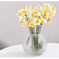 Güldan Plateon0010, şüşə, şəffaf Güldan Plateon0010, şüşə, şəffaf