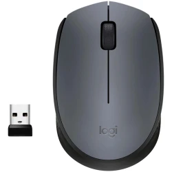 Мышь Logitech M170 Wireless Grey (910-004642) Мышь Logitech M170 Wireless Grey (910-004642)
