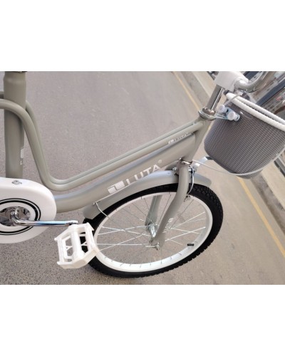 Velosiped Luta 20