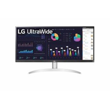 Monitor 29