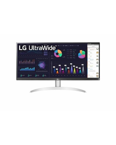 Monitor 29