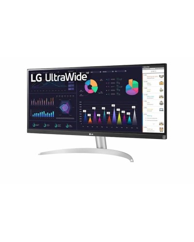 Monitor 29
