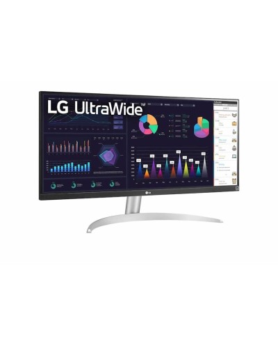 Monitor 29