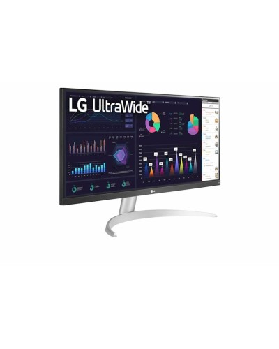 Monitor 29