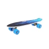 Skateboard SB Sport 0170250 (2111), mavi/qara Skateboard SB Sport 0170250 (2111), mavi/qara