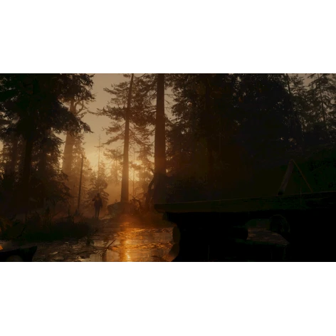 Видео-игра Alan Wake 2 PS5