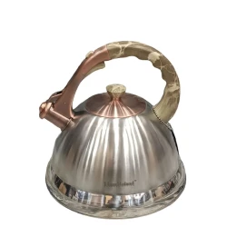 Чайник Canali HEM-0000103_shop, 4500 мл, золотистый/серебристый