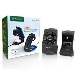 Зарядное устройство Smart Berry CW01