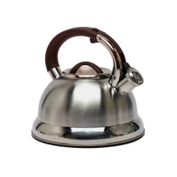 Çaydan Shosman 5459, metal, gümüşü, 4.5 l