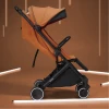 Детская коляска Anex AirX Tofee