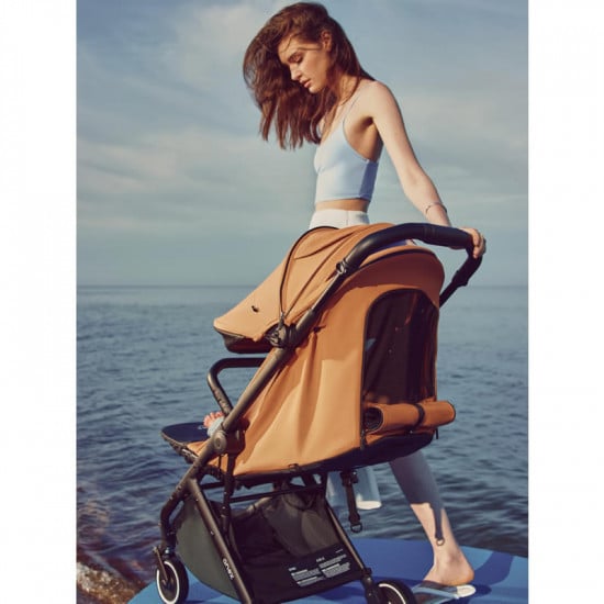 Детская коляска Anex AirX Tofee