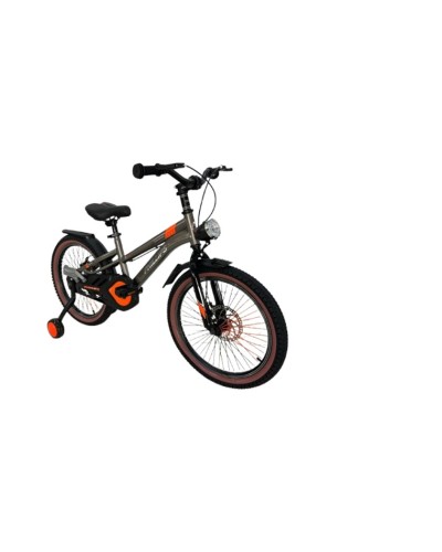 Uşaq velosipedi Phillips P133 16