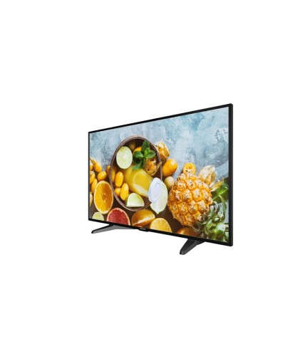 Monitor 42.5