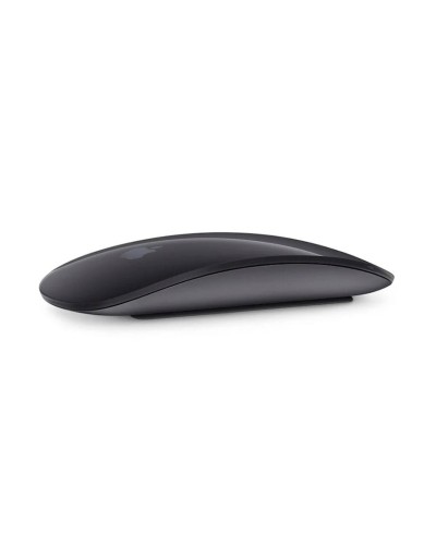 Siçan Magic Apple Mouse 2 Space Grey (MRME2ZM/A)