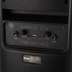 Dinamik Brodu BTS-2101 30W mikrofonlu