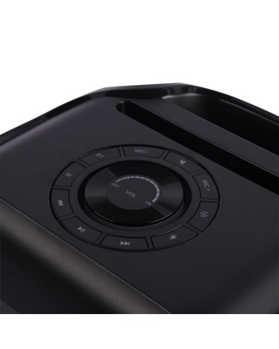 Dinamik Brodu BTS-2101 30W mikrofonlu