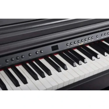 Цифровое пианино Artesia DP-3 II RSW Цифровое пианино Artesia DP-3 II RSW
