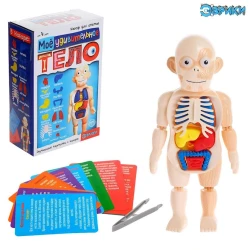 Набор для опытов Мое удивительное тело