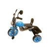 Uşaqlar üçün üçtəkərli velosiped 1801-1, mavi
