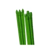 Опора для растений Green Apple GCSP-11-90, зеленый, 90 см, 5 шт Опора для растений Green Apple GCSP-11-90, зеленый, 90 см, 5 шт