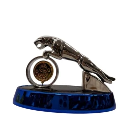 Avtomobil salonu üçün aksessuar avto271, göy