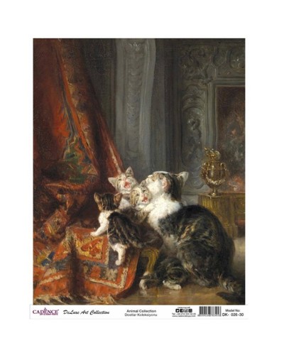 Dekupaj üçün düyü kağızı Cadence A3 Animals Collection DK-26 30x42 sm