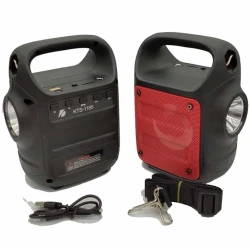 Portativ dinamik KTS KTS-1185