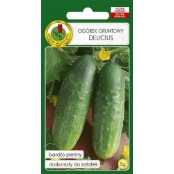 Семена овощей PNOS Огурец Gruntowy Delicius, 5 г