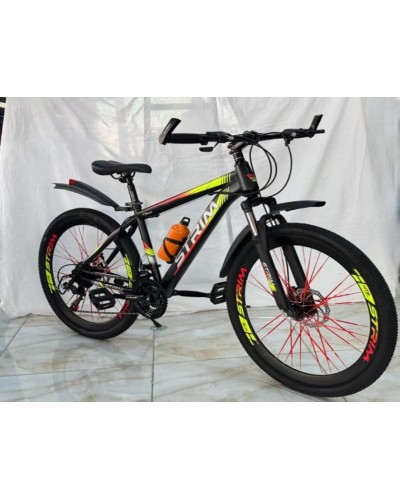 Şəhər velosipedi Velosiped, 24