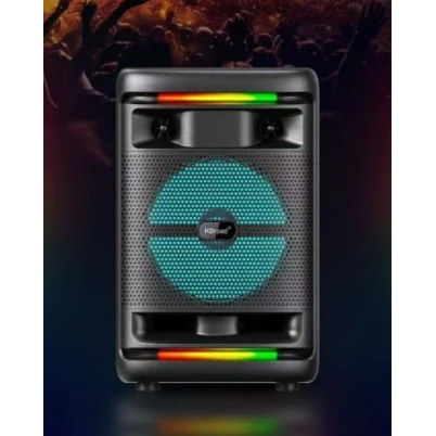 Portativ dinamik kts2196