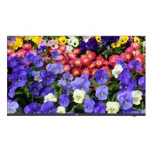 Монитор 43'' Uniview MW3243-F-V