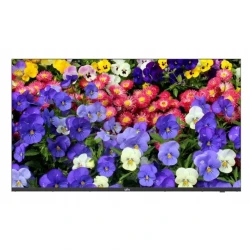 Monitor 43'' Uniview MW3243-F-V