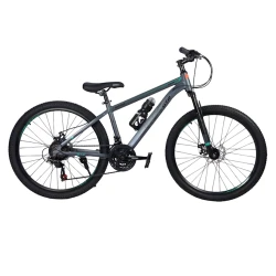 Горный велосипед BMX GTR BMX10029G, 29