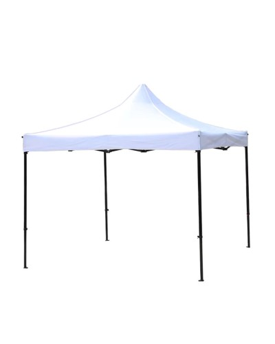 Çadır Alliance Company, 3 x 6 m, məhsul çeşiddə