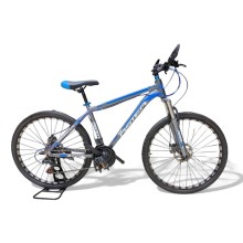 Velosiped Aster 1001480, 26