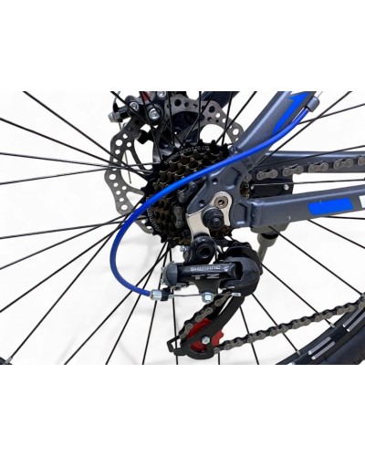 Velosiped Aster 1001480, 26