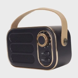 Portativ dinamik Subwoofer_200 Black