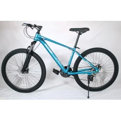 Dağ velosipedi Goose Premium 29