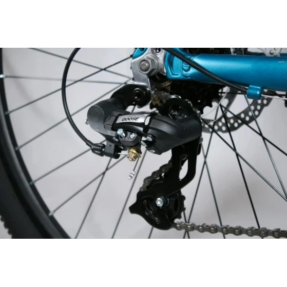 Dağ velosipedi Goose Premium 29