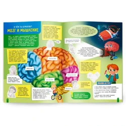 Книга с наклейками Тело человека, 32 стр