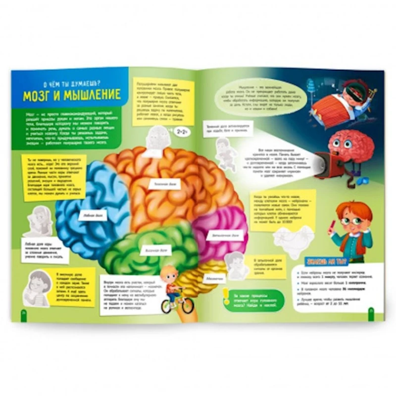 Книга с наклейками Тело человека, 32 стр Книга с наклейками Тело человека, 32 стр