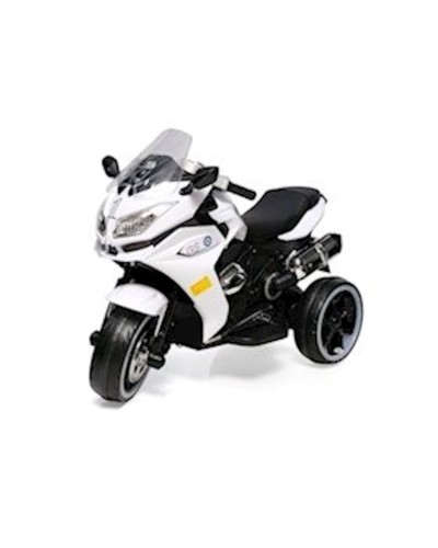 Uşaq elektrik motosikli BMW GS 1200, ağ
