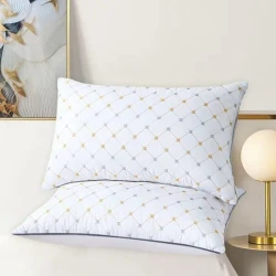 Набор подушек для сна Sahara SHA-00001463, бамбук, 50х70 см, 2 шт