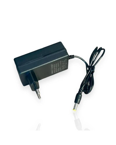 2-si 1-də dəst, akkumulyator mini zəncirli mişar və 2 çıxarıla bilən batareya ilə akkumulyator budayıcı, qutu
