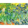 Акриловая живопись по номерам Rosa Start Ирисы, 35х45см