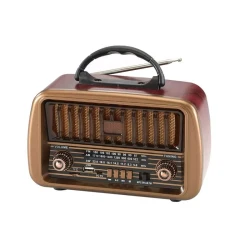 Portativ dinamik RADIO NS-8067BT