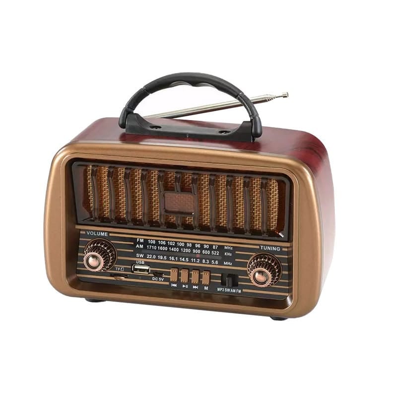 Portativ dinamik RADIO NS-8067BT