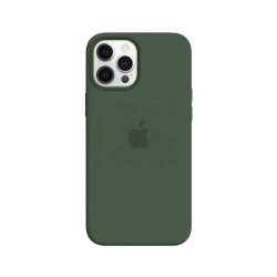 Чехол для Apple iPhone 12 Pro Max Green