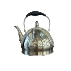 Чайник Haus Roland ZGH_00566, серебристый, 4.5 л